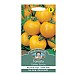 Tomato Golden Sunrise Seeds
