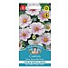 Mr Fothergills Cosmos Tetra Versailles Flush Seeds
