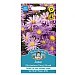 Mr Fothergills Aster (Michaelmas Daisy) Mixed Seeds