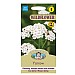 Mr Fothergills Wild Flower Yarrow Seeds