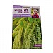 Sarah Raven Cutflower Collection Amaranthus Green Cascade