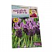 Sarah Raven Wildlife Collection Lavender Stoechas French