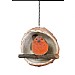 Vivid Arts Robin in a Coconut Bird Feeder