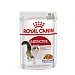 Royal Canin Feline Health Nutrition Instinctive Wet Food (85g)