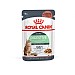 Royal Canin Feline Care Nutrition Digest Care Wet Food (85g)