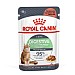 Royal Canin Feline Care Nutrition Digest Care Wet Food (85g)