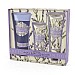 AAA Lavender Floral Bath & Body Collection