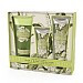 AAA Lily of the Valley Floral Bath & Body Collection