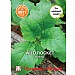 Thompson & Morgan Herb Wild Rocket Wasabi Seeds