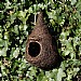 Wildlife World Giant Roost Pocket Robin Nester