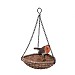Vivid Arts Hanging Robin Heart Bird Feeder
