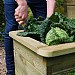 Zest 4 Tier Raised Bed