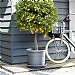 Elho Algarve Cilindro Planter with Wheels 40cm