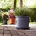 Elho Algarve Cilindro Planter 30cm (Various Colours)