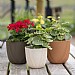 Capi Ball Groove Planter - 16.5x15cm (Various Colours)