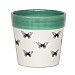 Ivyline Cacti Pot Cover Butterfly (Various Sizes)