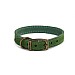 Ancol Timberwolf Leather Collar Green