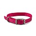Ancol Viva Nylon Collar Pink