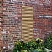 Forest Garden Slatted Trellis