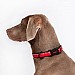 Halti Nylon Adjustable Collar Black