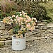 Woodlodge Heritage Edwardian Cylinder Ceramic Planter White (Various Sizes)