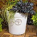 Woodlodge Heritage Edwardian Ceramic Pot White (Various Sizes)