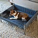 Henry Wag Elevated Dog Bed (Various Sizes)