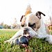 Kong Extreme Dog Toy Black - Various Sizes