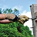 Treadstone 'Recycled Bottle Glove Plus' Mens Gloves