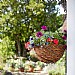 Smart Garden Rafiki Hanging Basket - Various Sizes