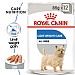 Royal Canin Canine Care Nutrition Light Loaf Wet Dog Food
