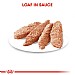 Royal Canin Canine Care Nutrition Light Loaf Wet Dog Food