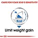 Royal Canin Canine Care Nutrition Light Loaf Wet Dog Food