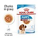 Royal Canin Size Health Nutrition Medium Puppy Wet Dog Food