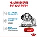 Royal Canin Size Health Nutrition Medium Puppy Wet Dog Food