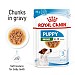 Royal Canin Size Health Nutrition Small Puppy Wet Dog Food