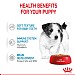 Royal Canin Size Health Nutrition Small Puppy Wet Dog Food