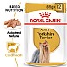 Royal Canin Breed Health Nutrition Yorkshire Terrier Wet Dog Food