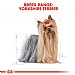 Royal Canin Breed Health Nutrition Yorkshire Terrier Wet Dog Food