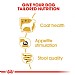 Royal Canin Breed Health Nutrition Yorkshire Terrier Wet Dog Food