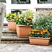 Stewart Garden Self Watering Balconniere Square Planter 30cm (Various Colours)