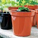 Black Premium Flower Pot - Various Sizes