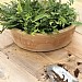 Woodlodge Alpine Pot (Various Sizes)