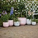 Woodlodge RHS Wildlife Bee Pot 24cm (Various Colours)