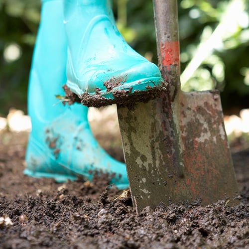 The Gardening, Seeds & Bulbs Department